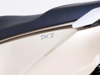 SK_Detail20